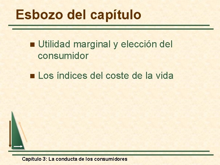 Esbozo del capítulo n Utilidad marginal y elección del consumidor n Los índices del