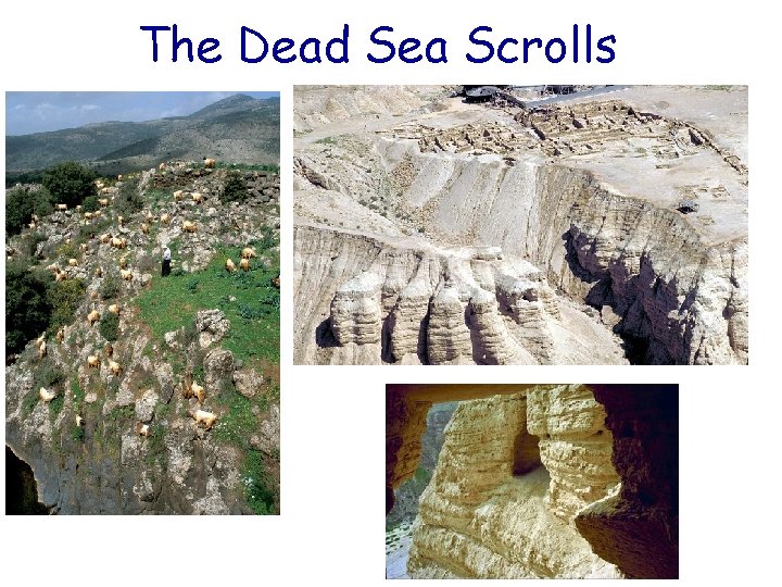 The Dead Sea Scrolls 