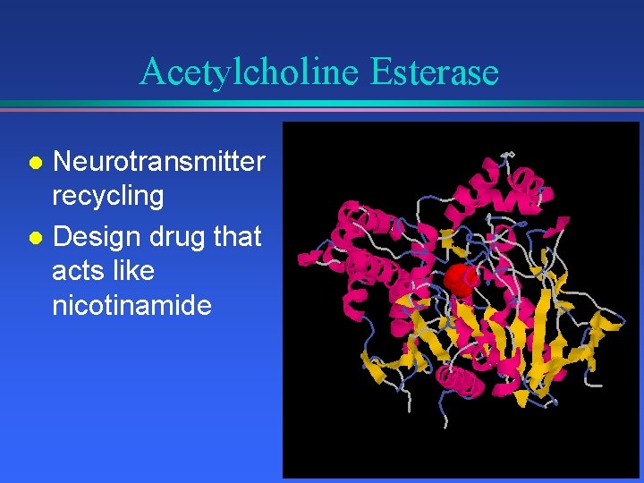 Acetylcholine Esterase Neurotransmitter recycling l Design drug that acts like nicotinamide l 