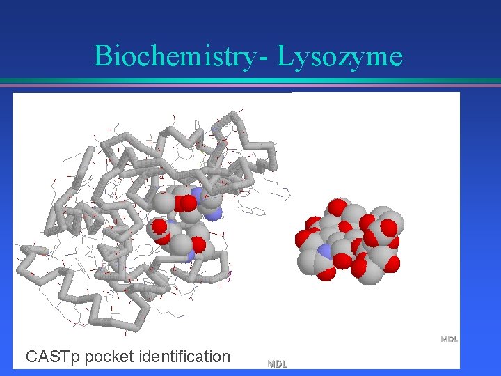 Biochemistry- Lysozyme CASTp pocket identification 