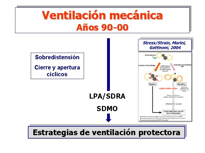 Ventilación mecánica Años 90 -00 Sobredistensión Cierre y apertura cíclicos LPA/SDRA SDMO Estrategias de