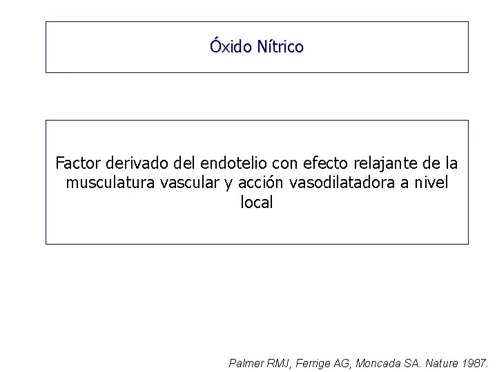 Óxido Nítrico Factor derivado del endotelio con efecto relajante de la musculatura vascular y