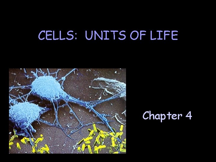 CELLS: UNITS OF LIFE Chapter 4 
