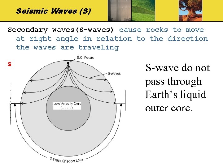 Seismic Waves (S) Secondary waves(S-waves) cause rocks to move at right angle in relation