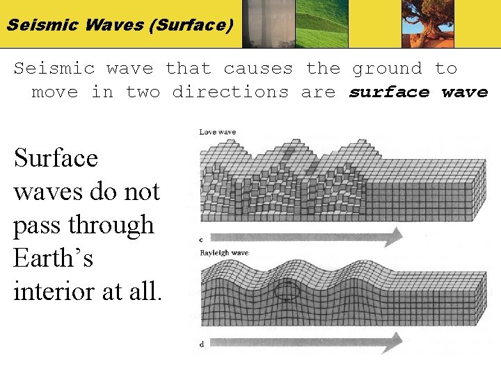 Seismic Waves (Surface) Seismic wave that causes the ground to move in two directions