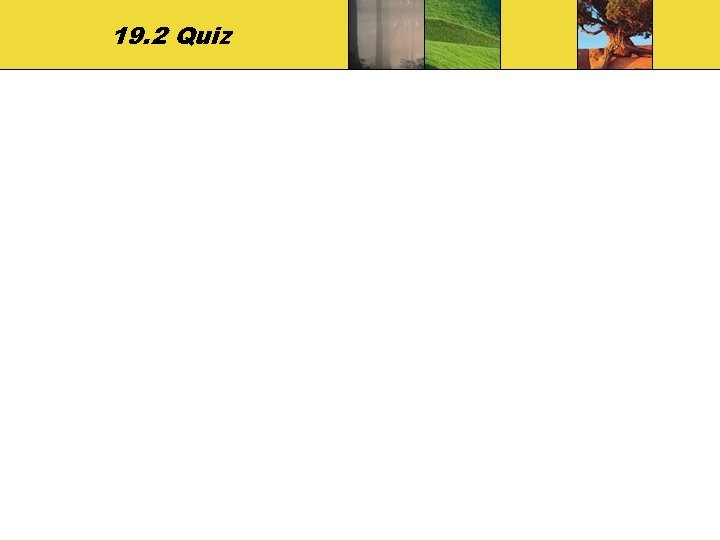 19. 2 Quiz 