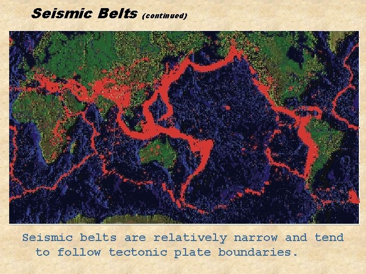 Seismic Belts (continued) Seismic belts are relatively narrow and tend to follow tectonic plate