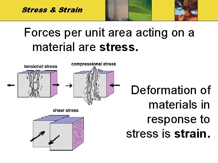 Stress & Strain Forces per unit area acting on a material are stress. Deformation