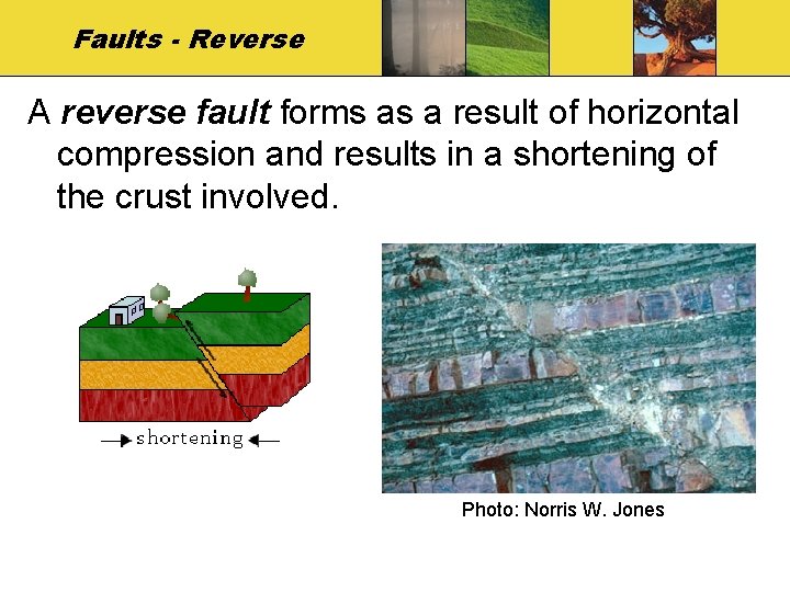 Faults - Reverse A reverse fault forms as a result of horizontal compression and