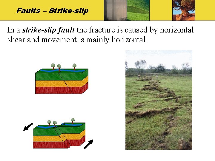 Faults – Strike-slip In a strike-slip fault the fracture is caused by horizontal shear