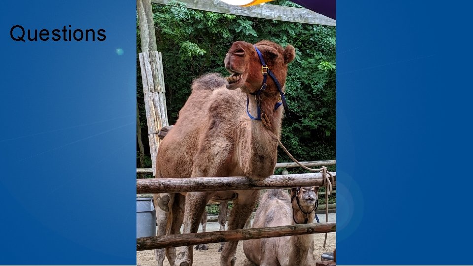 WEEK 5: QQuestions UIZZES 