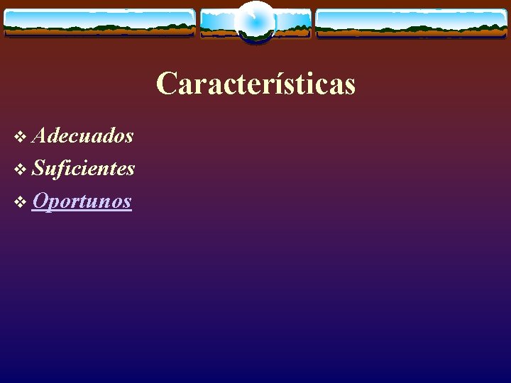 Características v Adecuados v Suficientes v Oportunos 