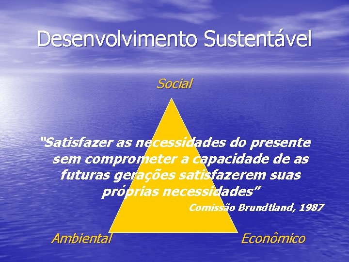 Desenvolvimento Sustentável Social “Satisfazer as necessidades do presente sem comprometer a capacidade de as