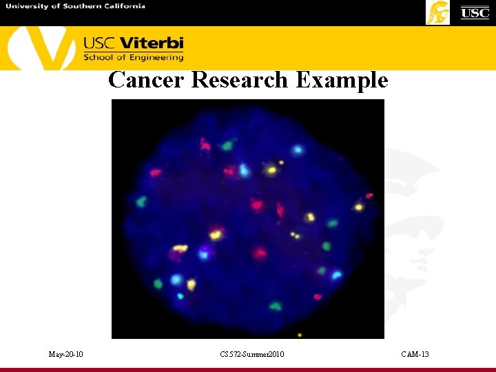 Cancer Research Example May-20 -10 CS 572 -Summer 2010 CAM-13 