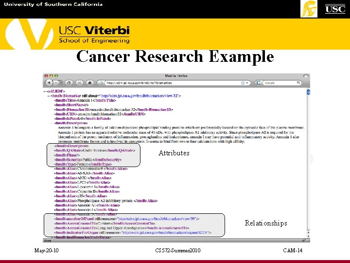 Cancer Research Example Attributes Relationships May-20 -10 CS 572 -Summer 2010 CAM-14 