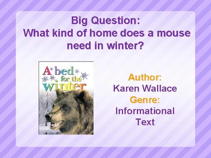 Big Question: What kind of home does a mouse need in winter? Author: Author