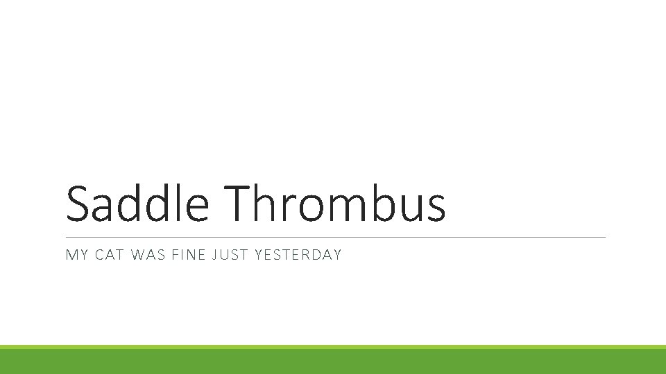 Saddle Thrombus MY CAT WAS FINE JUST YESTERDAY 