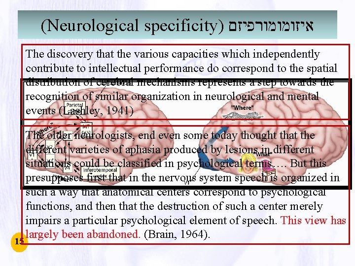 (Neurological specificity) איזומומורפיזם The discovery that the various capacities which independently contribute to intellectual (Neurological specificity) איזומומורפיזם The discovery that the various capacities which independently contribute to intellectual