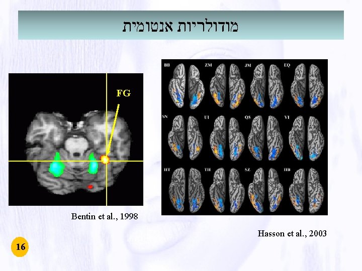 מודולריות אנטומית FG Bentin et al. , 1998 Hasson et al. , 2003 מודולריות אנטומית FG Bentin et al. , 1998 Hasson et al. , 2003