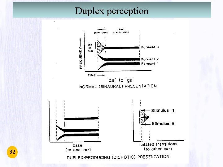 Duplex perception 32 Duplex perception 32
