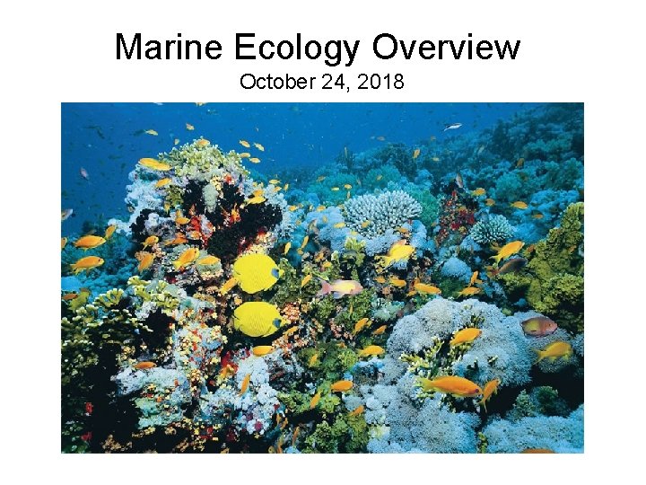 Marine Ecology Overview October 24, 2018 