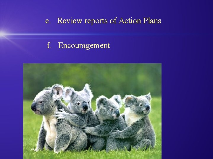 e. Review reports of Action Plans f. Encouragement e. Review reports of Action Plans f. Encouragement