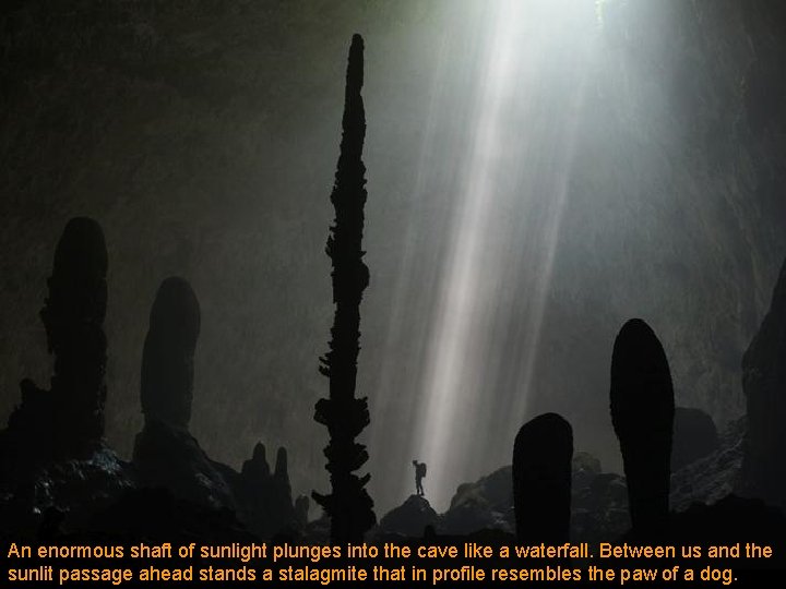 An enormous shaft of sunlight plunges into the cave like a waterfall. Between us