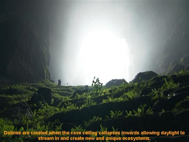 Dolines are created when the cave ceiling collapses inwards allowing daylight to stream in