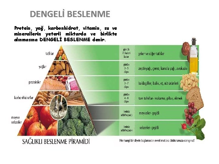 DENGELİ BESLENME Protein, yağ, karbonhidrat, vitamin, su ve minerallerin yeterli miktarda ve birlikte alınmasına