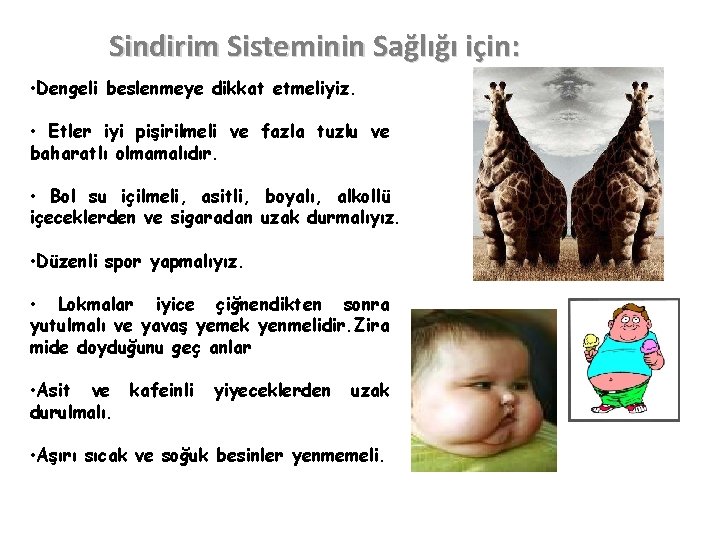 Sindirim Sisteminin Sağlığı için: • Dengeli beslenmeye dikkat etmeliyiz. • Etler iyi pişirilmeli ve