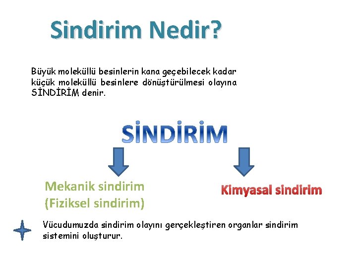 Sindirim Nedir? Büyük moleküllü besinlerin kana geçebilecek kadar küçük moleküllü besinlere dönüştürülmesi olayına SİNDİRİM