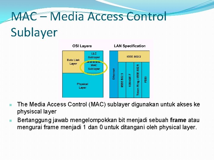 MAC – Media Access Control Sublayer n n The Media Access Control (MAC) sublayer