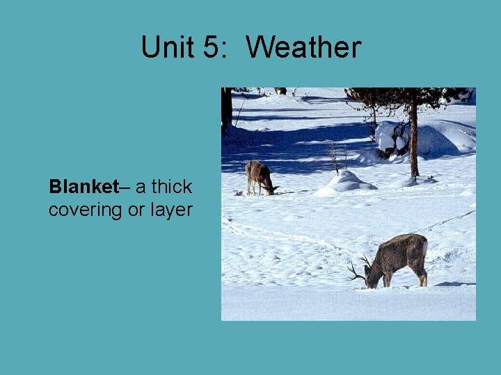 Unit 5: Weather Blanket– a thick covering or layer Unit 5: Weather Blanket– a thick covering or layer