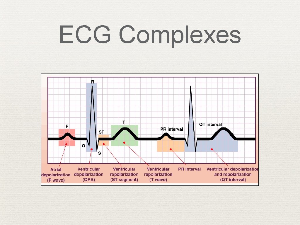 ECG Complexes 