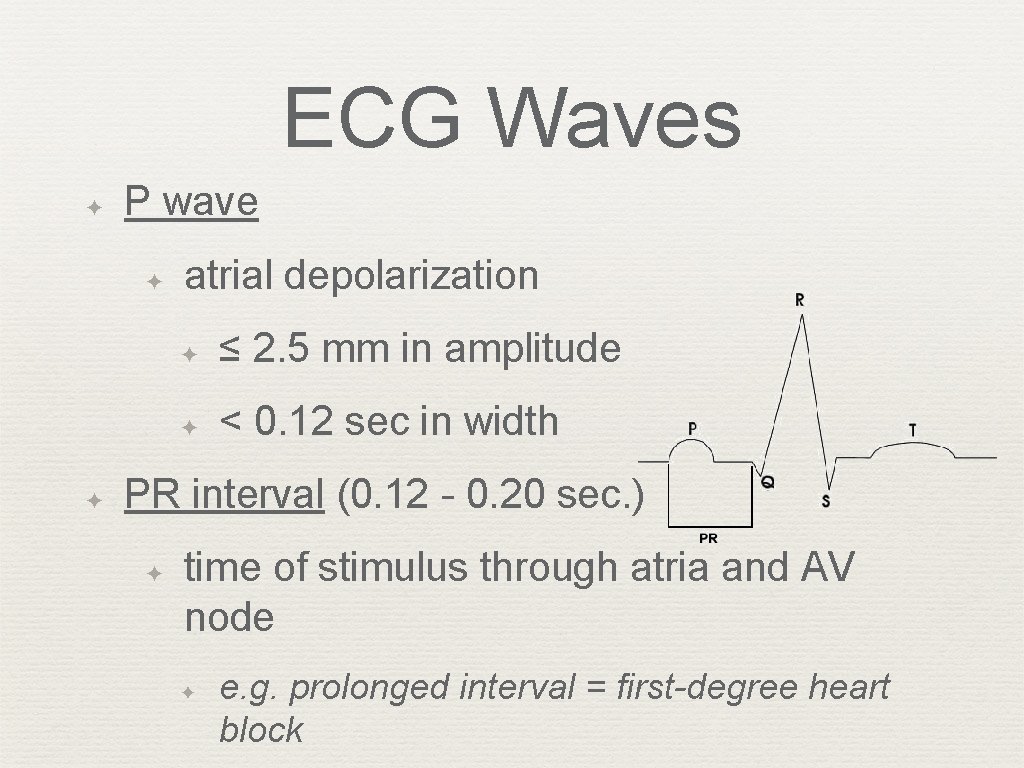ECG Waves ✦ P wave ✦ ✦ atrial depolarization ✦ ≤ 2. 5 mm