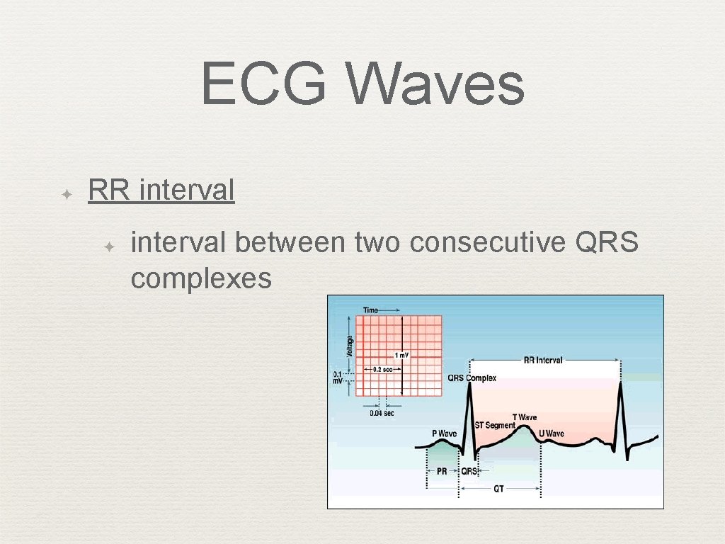 ECG Waves ✦ RR interval ✦ interval between two consecutive QRS complexes 