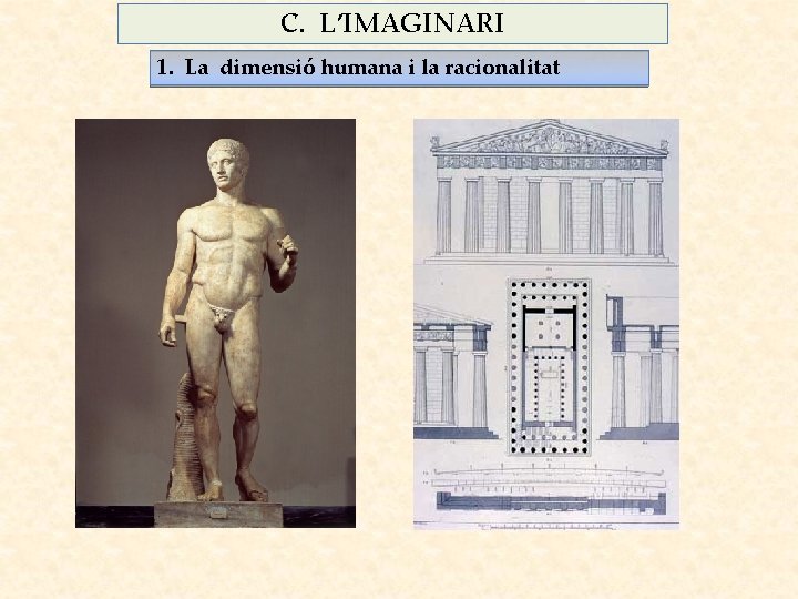 C. L’IMAGINARI 1. La dimensió humana i la racionalitat 