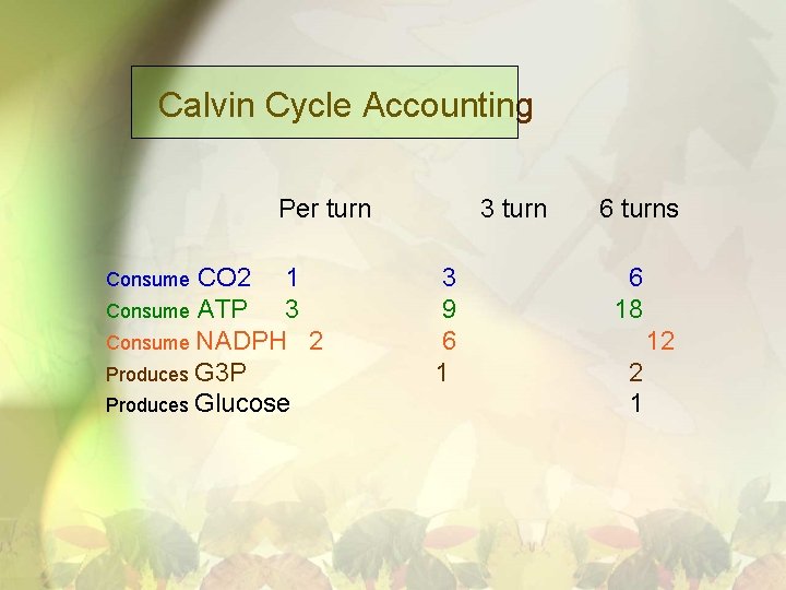 Calvin Cycle Accounting Per turn CO 2 1 Consume ATP 3 Consume NADPH 2