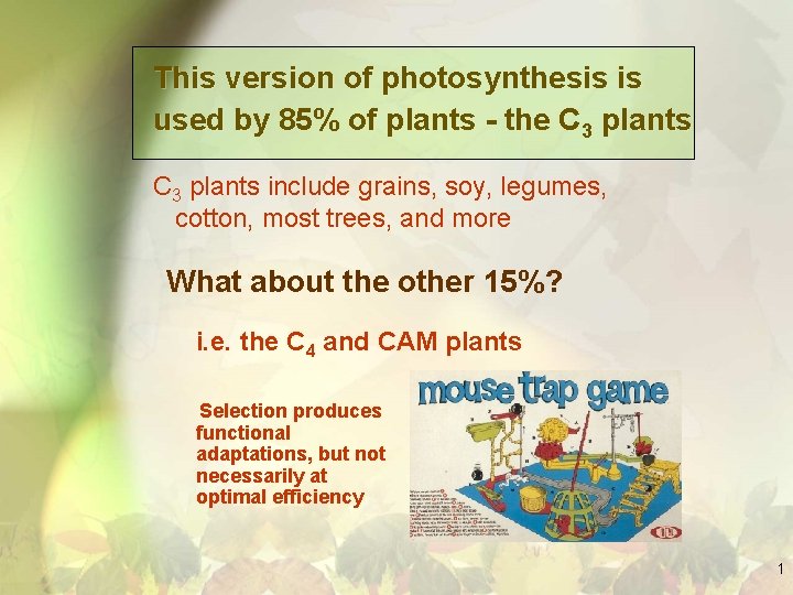 This version of photosynthesis is used by 85% of plants - the C 3