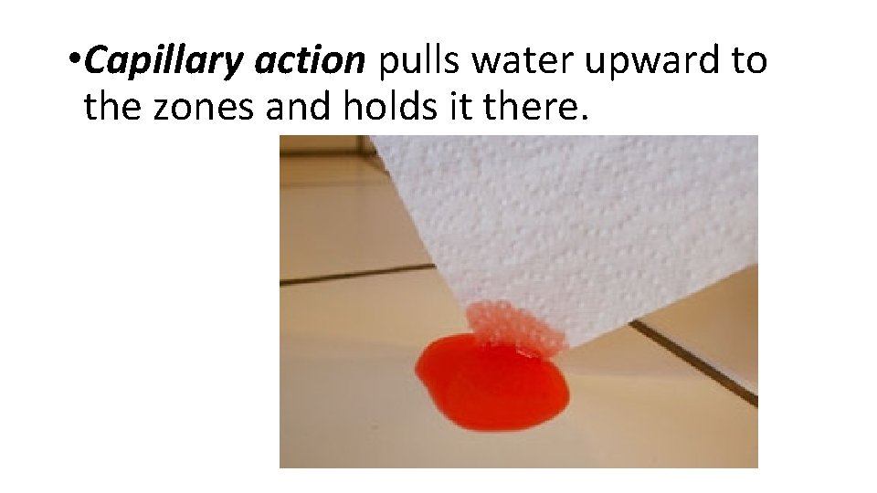  • Capillary action pulls water upward to the zones and holds it there.