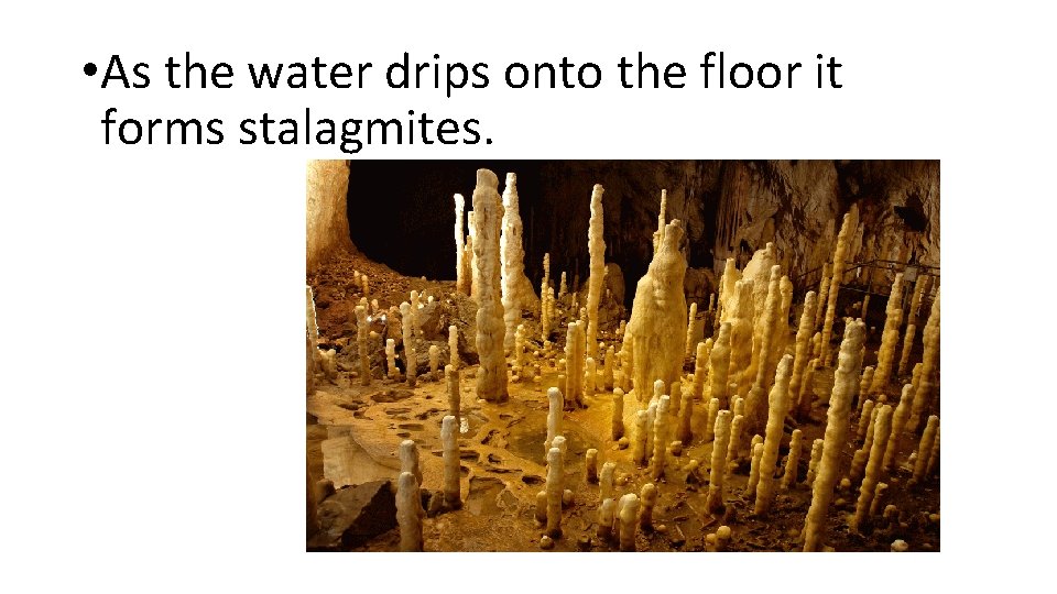  • As the water drips onto the floor it forms stalagmites. 