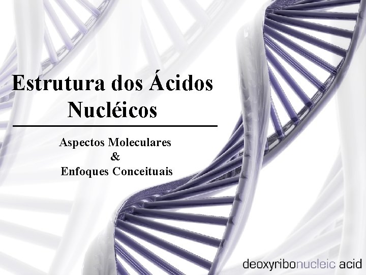 Estrutura dos Ácidos Nucléicos Aspectos Moleculares & Enfoques Conceituais 
