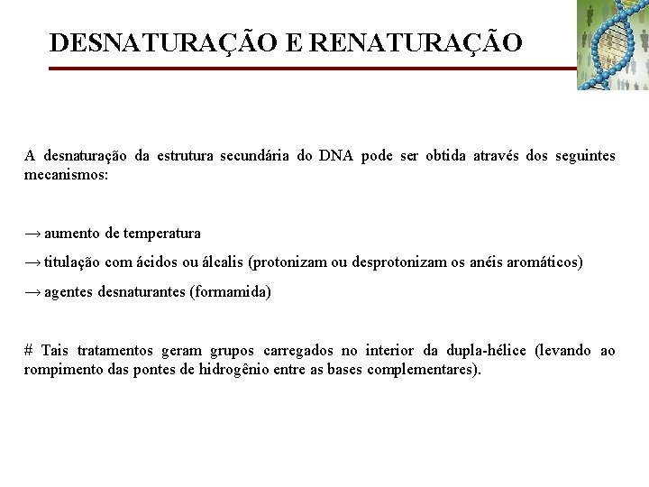 DESNATURAÇÃO E RENATURAÇÃO A desnaturação da estrutura secundária do DNA pode ser obtida através