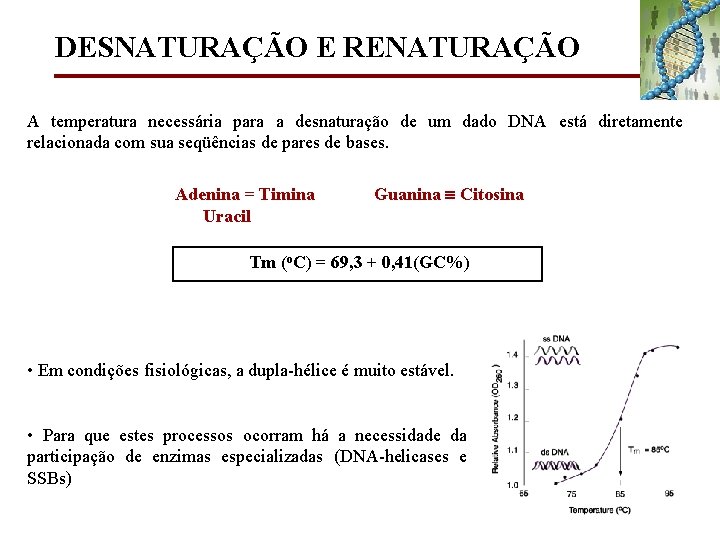 DESNATURAÇÃO E RENATURAÇÃO A temperatura necessária para a desnaturação de um dado DNA está