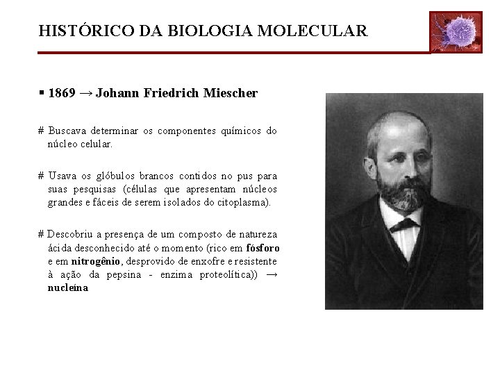 HISTÓRICO DA BIOLOGIA MOLECULAR § 1869 → Johann Friedrich Miescher # Buscava determinar os