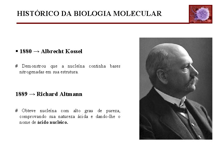 HISTÓRICO DA BIOLOGIA MOLECULAR § 1880 → Albrecht Kossel # Demonstrou que a nucleína