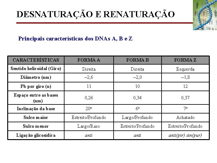 DESNATURAÇÃO E RENATURAÇÃO Principais características dos DNAs A, B e Z CARACTERÍSTICAS FORMA A