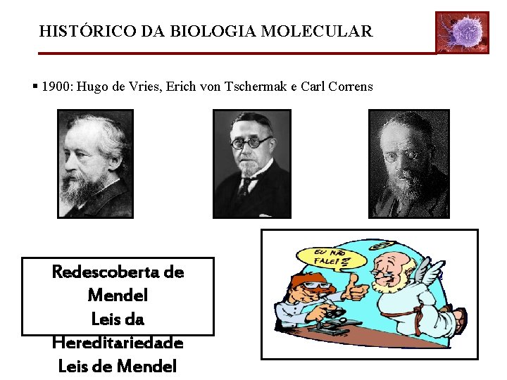 HISTÓRICO DA BIOLOGIA MOLECULAR § 1900: Hugo de Vries, Erich von Tschermak e Carl