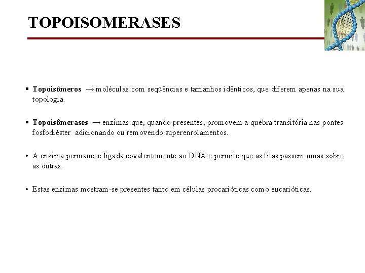 TOPOISOMERASES § Topoisômeros → moléculas com seqüências e tamanhos idênticos, que diferem apenas na