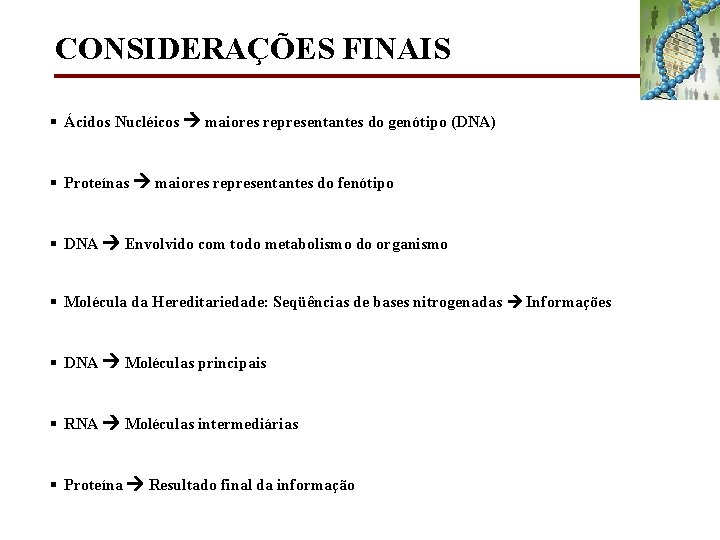 CONSIDERAÇÕES FINAIS § Ácidos Nucléicos maiores representantes do genótipo (DNA) § Proteínas maiores representantes